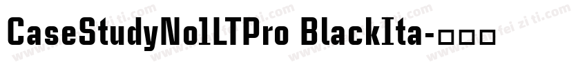 CaseStudyNo1LTPro BlackIta字体转换